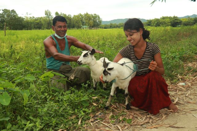 Goat farmers in Pan Taw Pyin Village, Maungdaw Township, Rakhine State. ©FAO